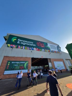 Mercado de bioenergia: crescimento de 13% e potencial de US$ 12 bilhões até 2030