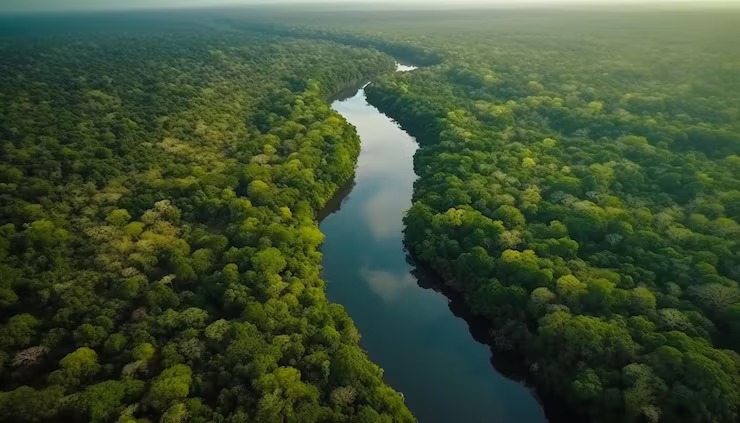 Desenvolvimento sustentável na Amazônia: papel crucial do setor privado Desenvolvimento sustentável na Amazônia: papel crucial do setor privado