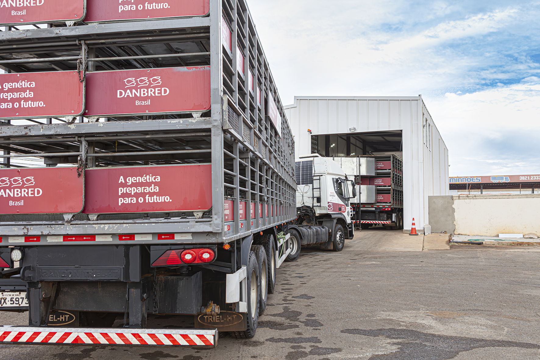 TADD System: DanBred Brasil aumenta capacidade logística em 30% TADD System: DanBred Brasil aumenta capacidade logística em 30%